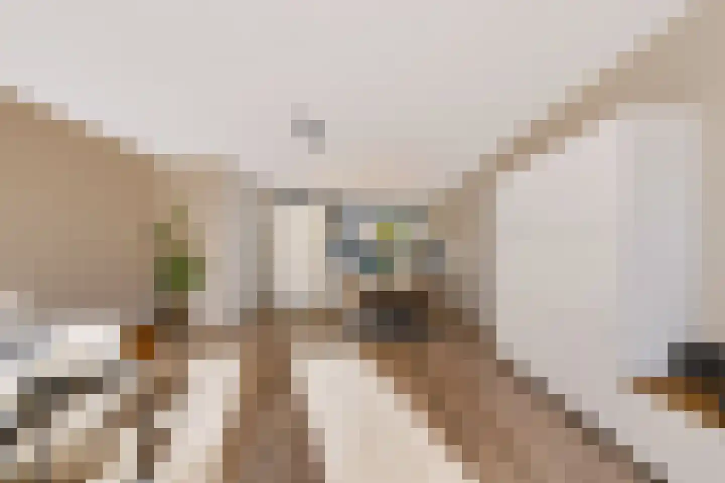 Stelkamp 14 Vianen thumbnail 29