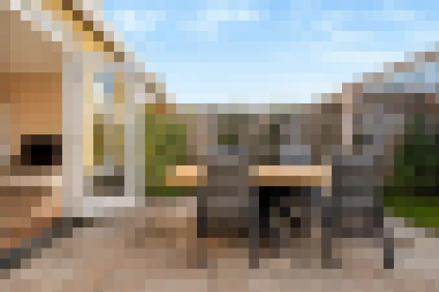 Stelkamp 14 Vianen thumbnail 34
