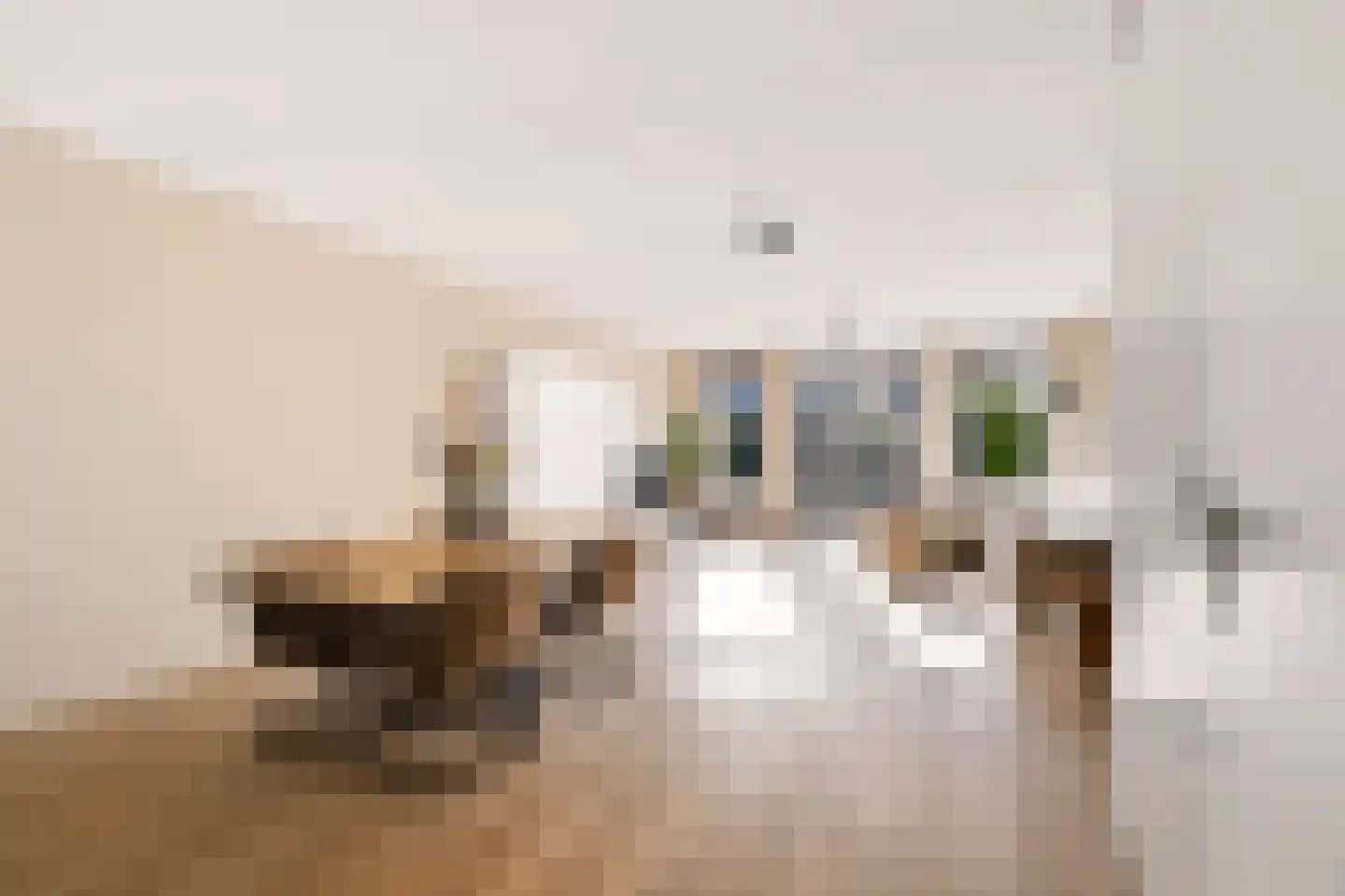 Stelkamp 14 Vianen thumbnail 4