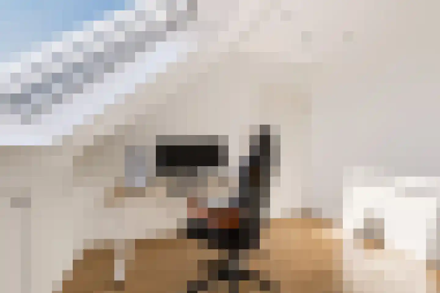 Stelkamp 14 Vianen thumbnail 55
