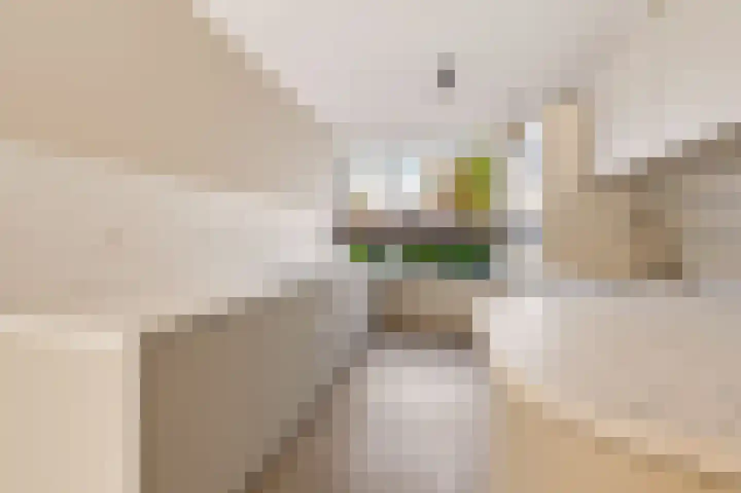 Stelkamp 14 Vianen thumbnail 6