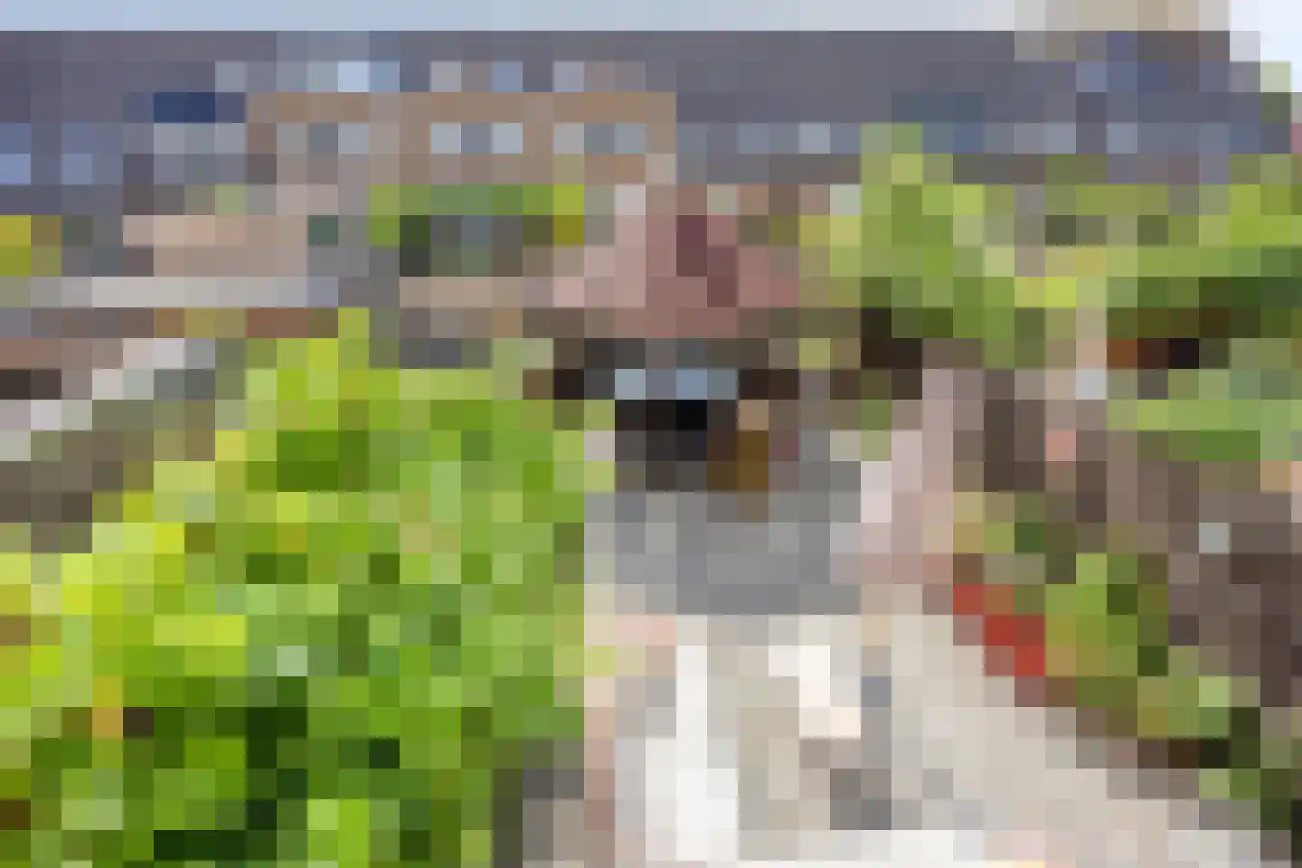 Stella Agsteribbeland 17 Heerhugowaard thumbnail 18