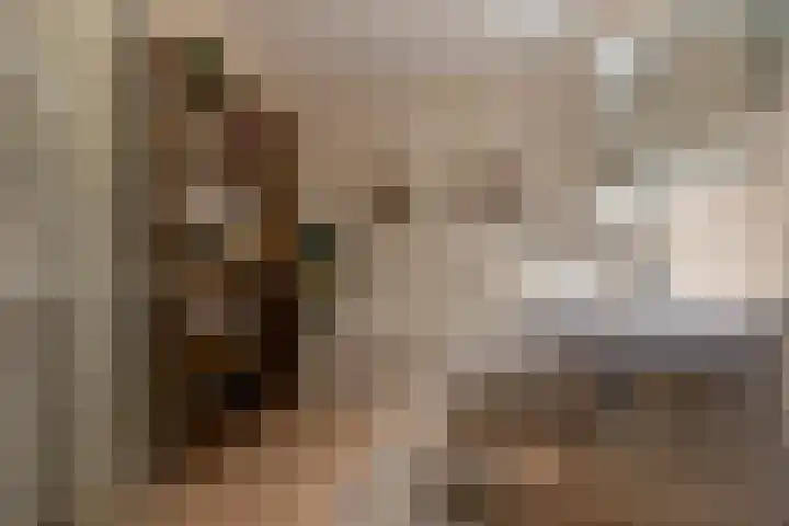 Stella Agsteribbeland 27 Heerhugowaard thumbnail 23