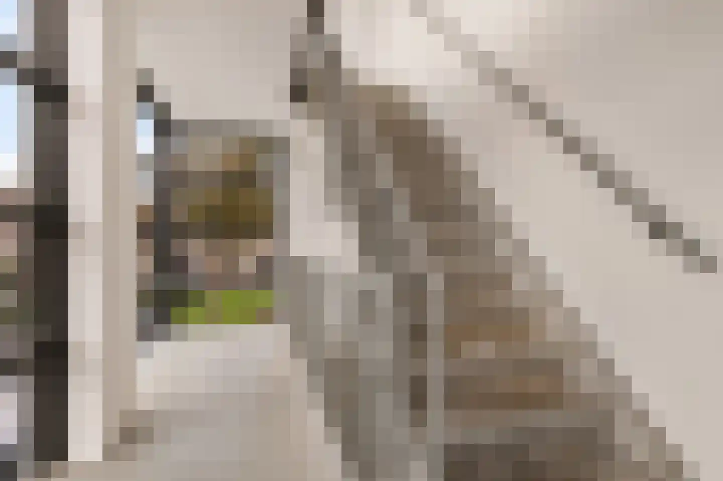 Stella Agsteribbeland 35 Heerhugowaard thumbnail 31
