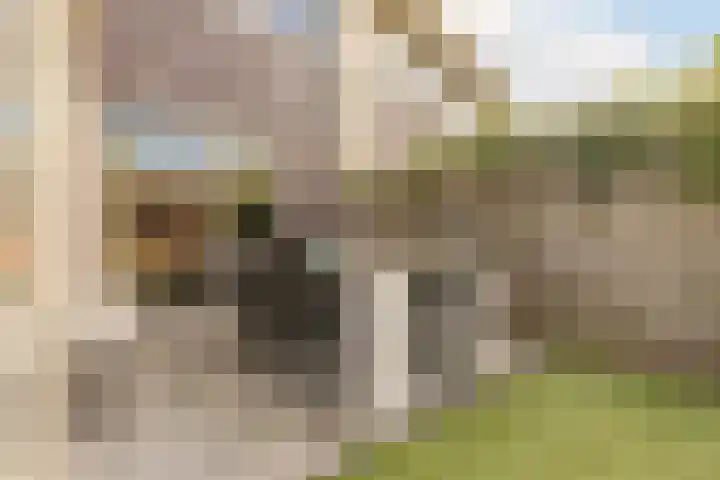 Stella Agsteribbeland 38 Heerhugowaard thumbnail 54