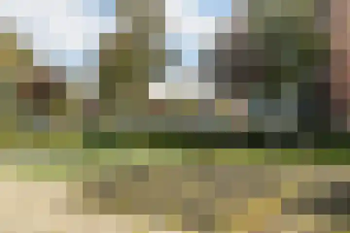 Stella Agsteribbeland 38 Heerhugowaard thumbnail 64