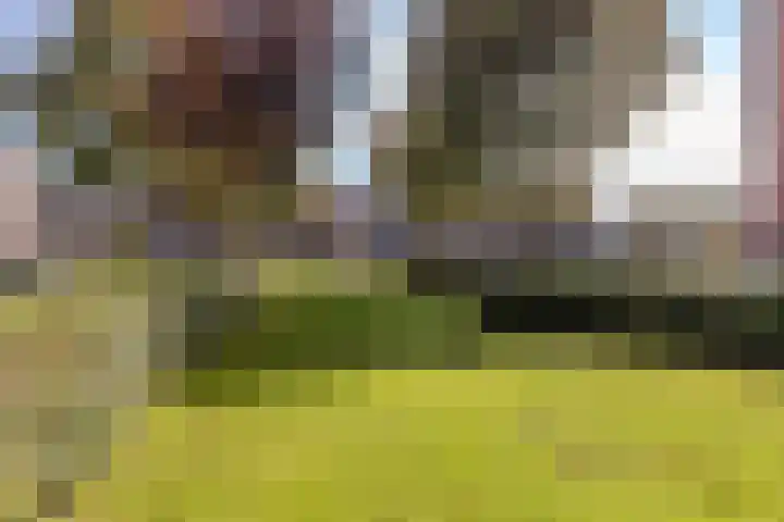 Stella Agsteribbeland 38 Heerhugowaard thumbnail 66