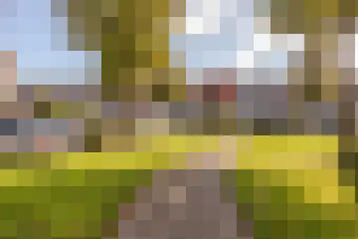 Stella Agsteribbeland 38 Heerhugowaard thumbnail 68
