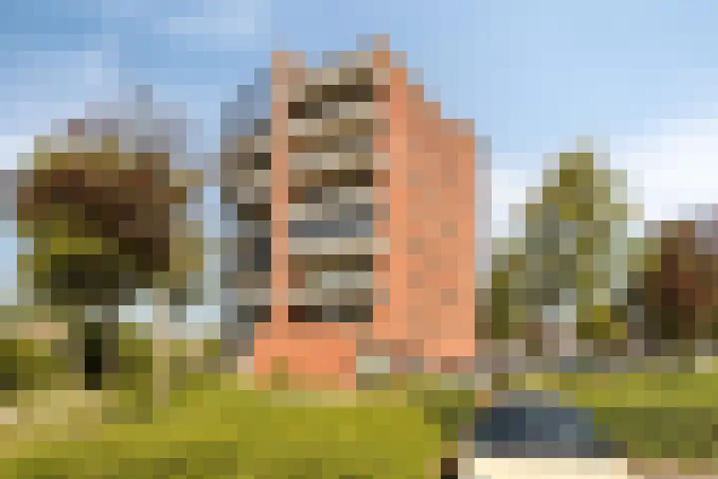 Stella Agsteribbeland 43 Heerhugowaard thumbnail 26