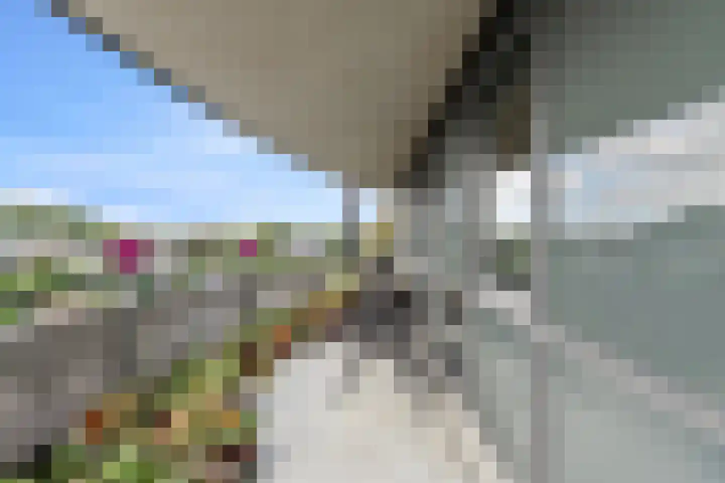Stella Agsteribbeland 45 Heerhugowaard thumbnail 5
