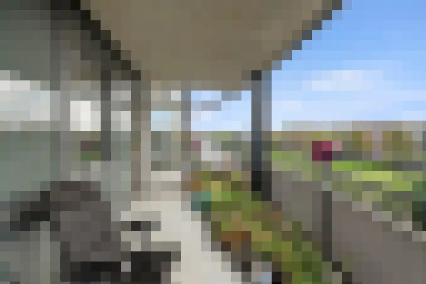 Stella Agsteribbeland 45 Heerhugowaard thumbnail 6