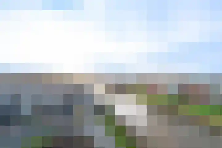 Stella Agsteribbeland 65 Heerhugowaard thumbnail 33
