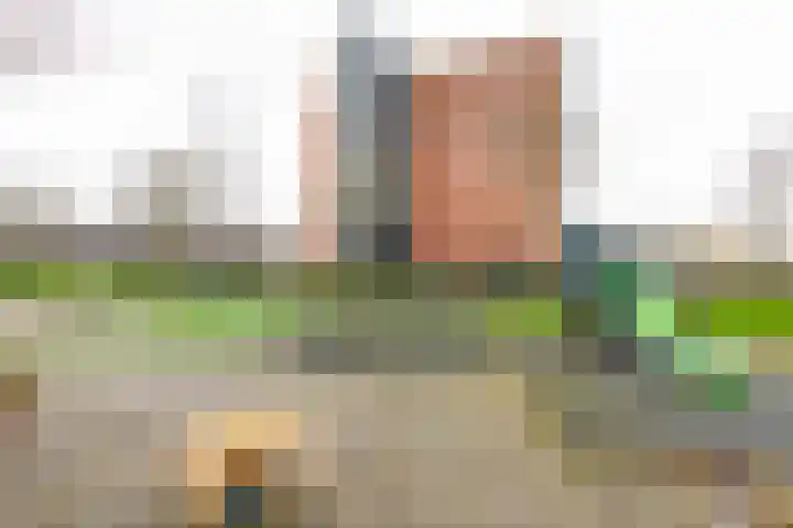 Stella Agsteribbeland 65 Heerhugowaard thumbnail 34