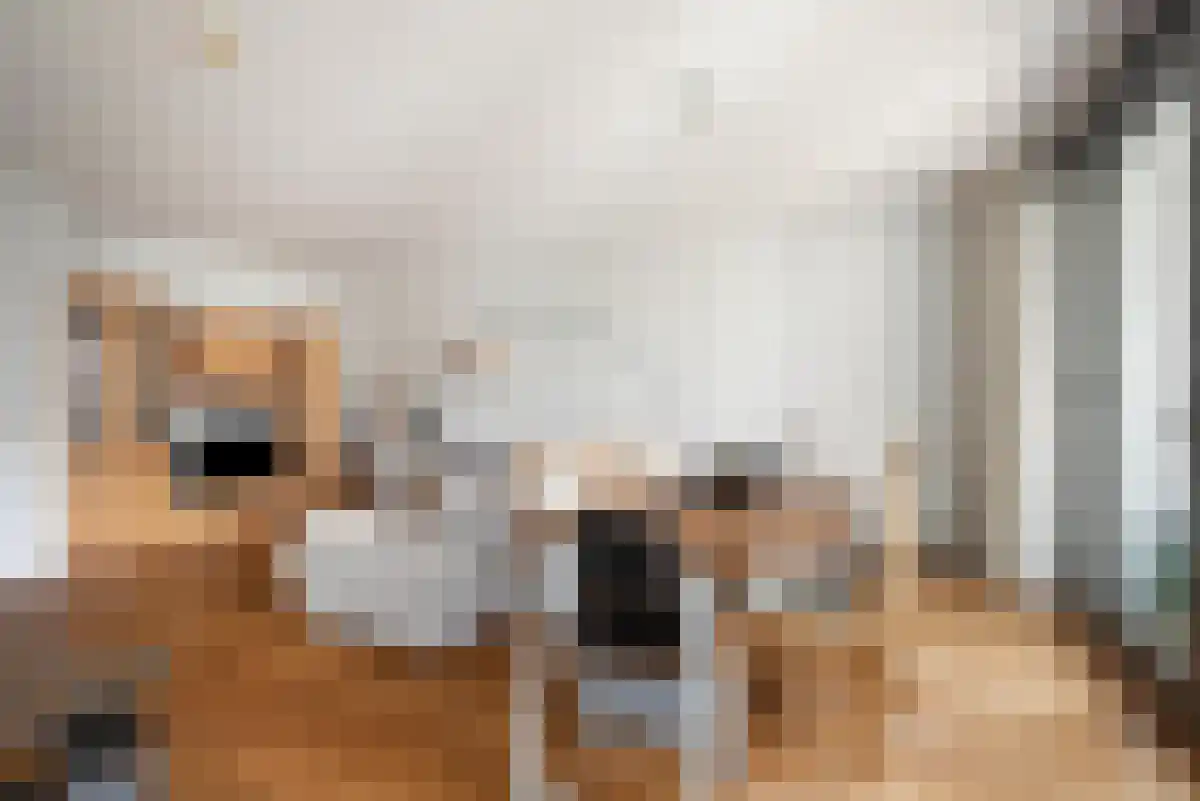 Stellalunet 11 Maastricht thumbnail 4