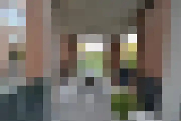 Stellalunet 16 B Maastricht thumbnail 7