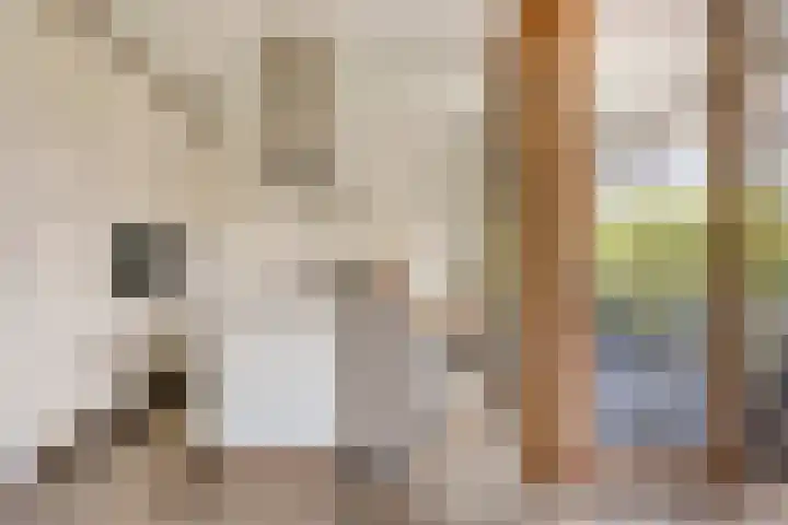 Stellalunet 29 E Maastricht thumbnail 11
