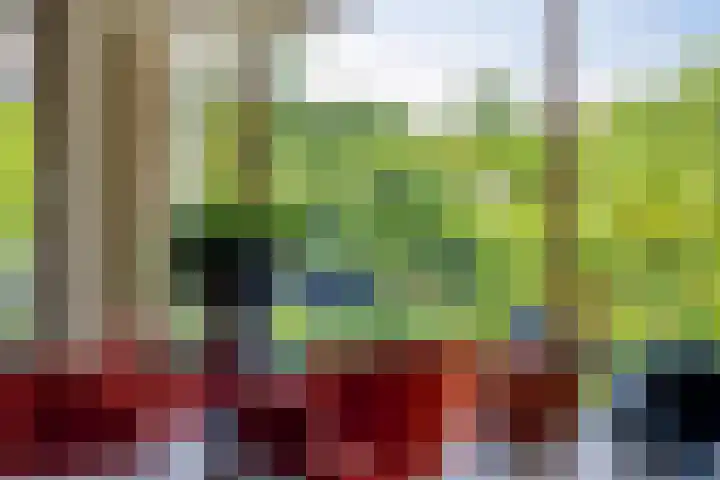 Stellalunet 29 E Maastricht thumbnail 12