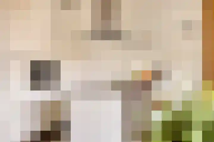 Stellalunet 29 E Maastricht thumbnail 13
