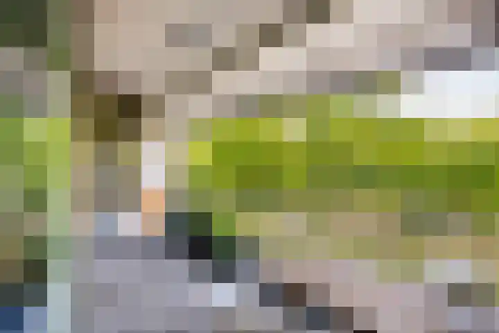 Stellalunet 29 E Maastricht thumbnail 16