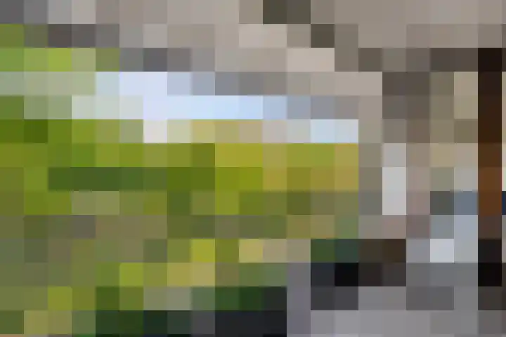Stellalunet 29 E Maastricht thumbnail 17