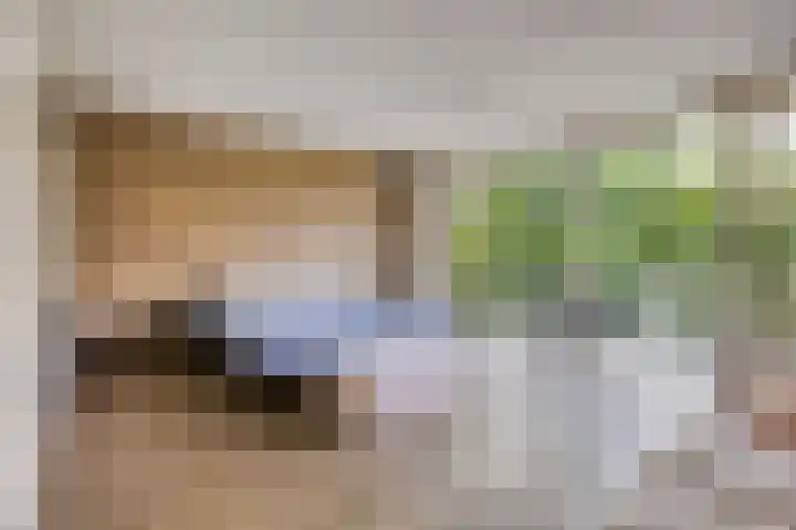 Stellalunet 29 E Maastricht thumbnail 18