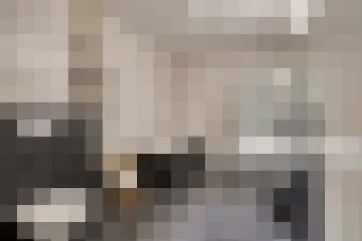 Stellalunet 29 E Maastricht thumbnail 22