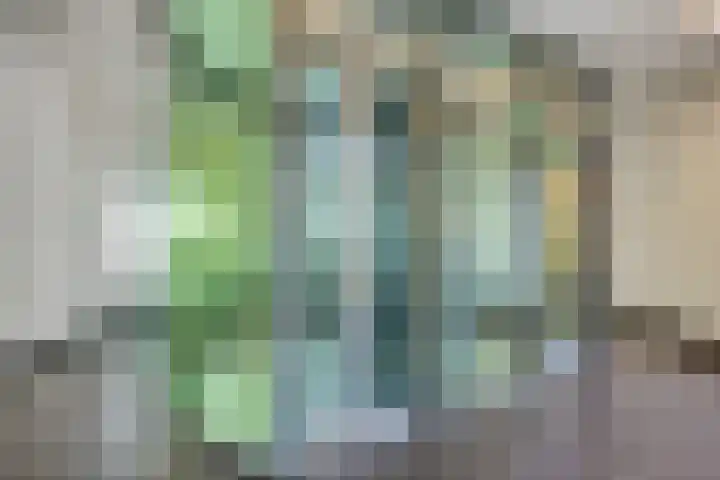 Stellalunet 29 E Maastricht thumbnail 24