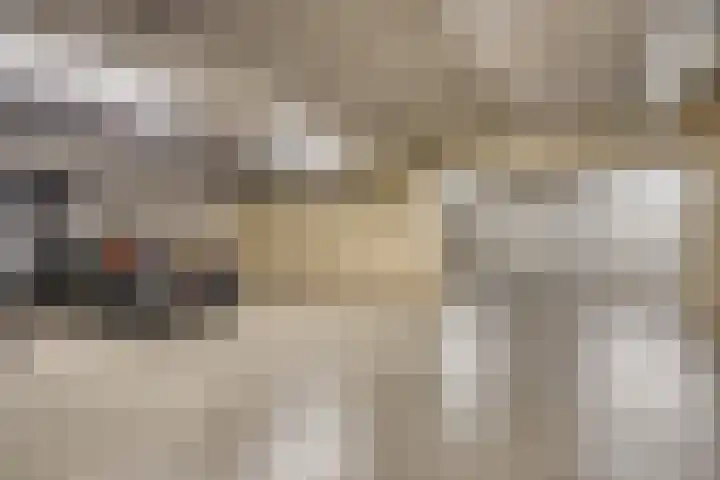 Stellalunet 29 E Maastricht thumbnail 26