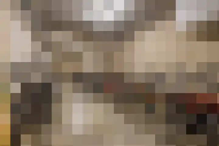 Stellalunet 29 E Maastricht thumbnail 27