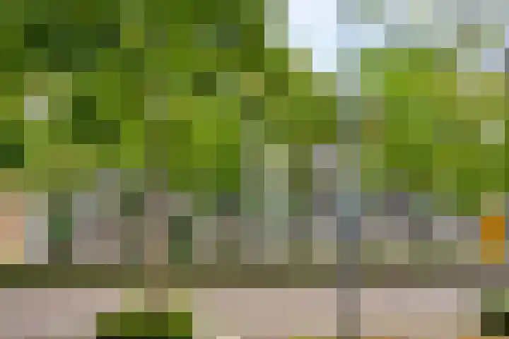 Stellalunet 29 E Maastricht thumbnail 30