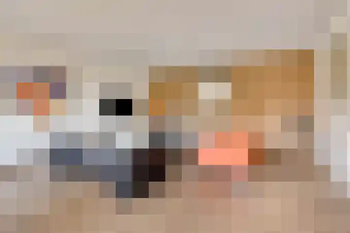 Stellalunet 29 E Maastricht thumbnail 6