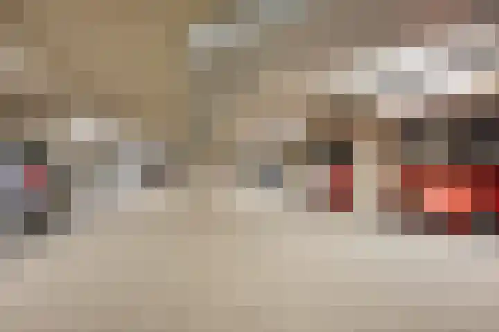 Stellalunet 34 D Maastricht thumbnail 22