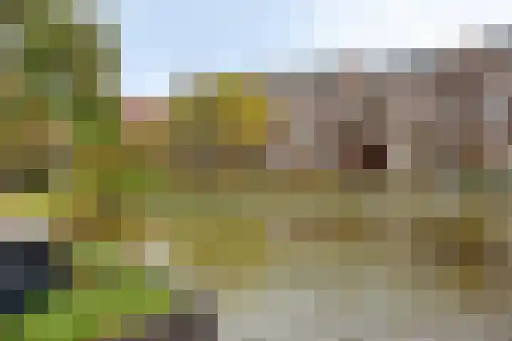 Stellalunet 34 D Maastricht thumbnail 25
