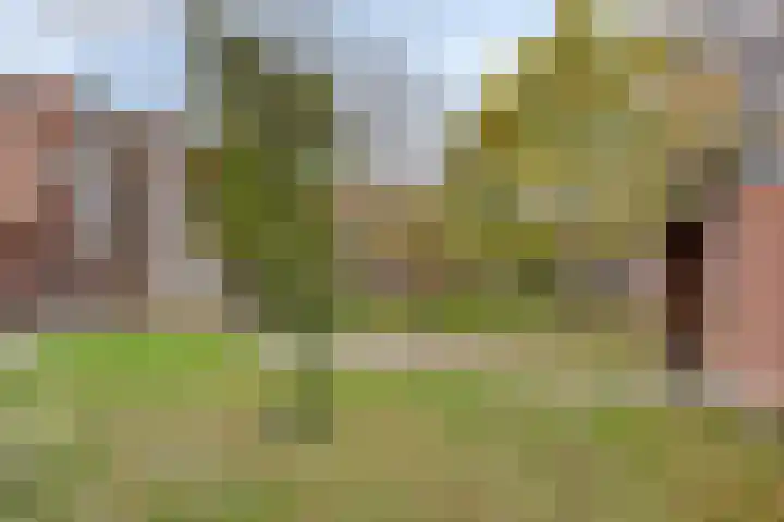Stellalunet 34 D Maastricht thumbnail 26