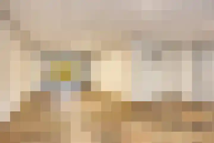 Stellalunet 34 D Maastricht thumbnail 4