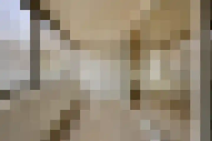 Stellalunet 34 D Maastricht thumbnail 8