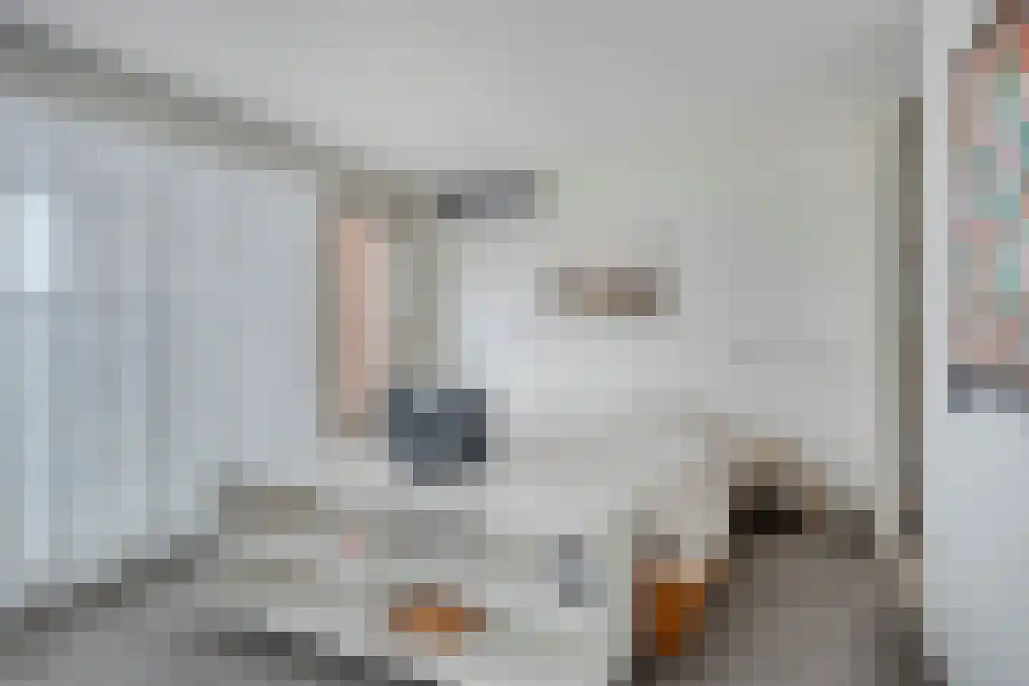 Stellalunet 36 E Maastricht thumbnail 21