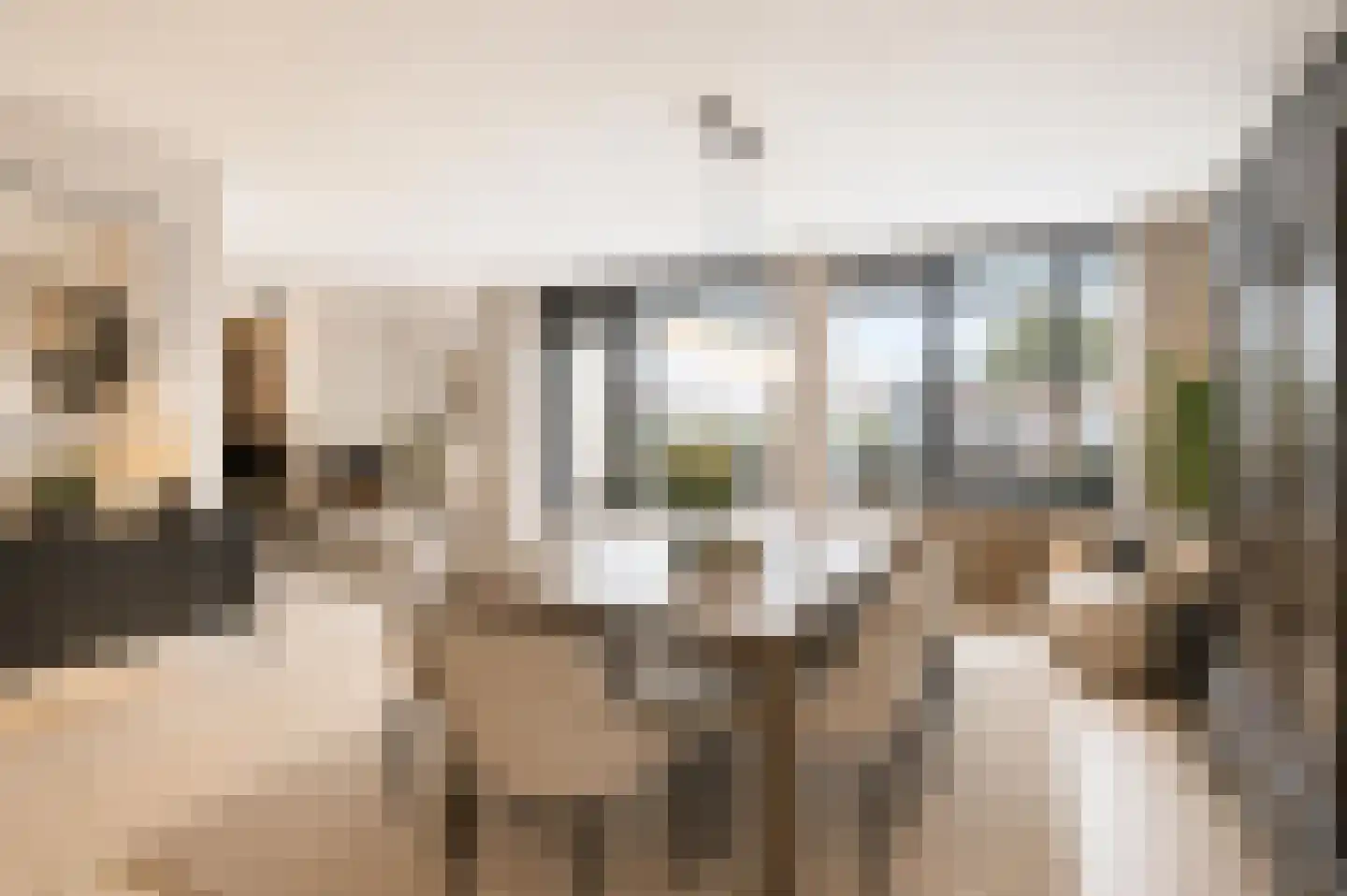 Stellalunet 36 F Maastricht thumbnail 8