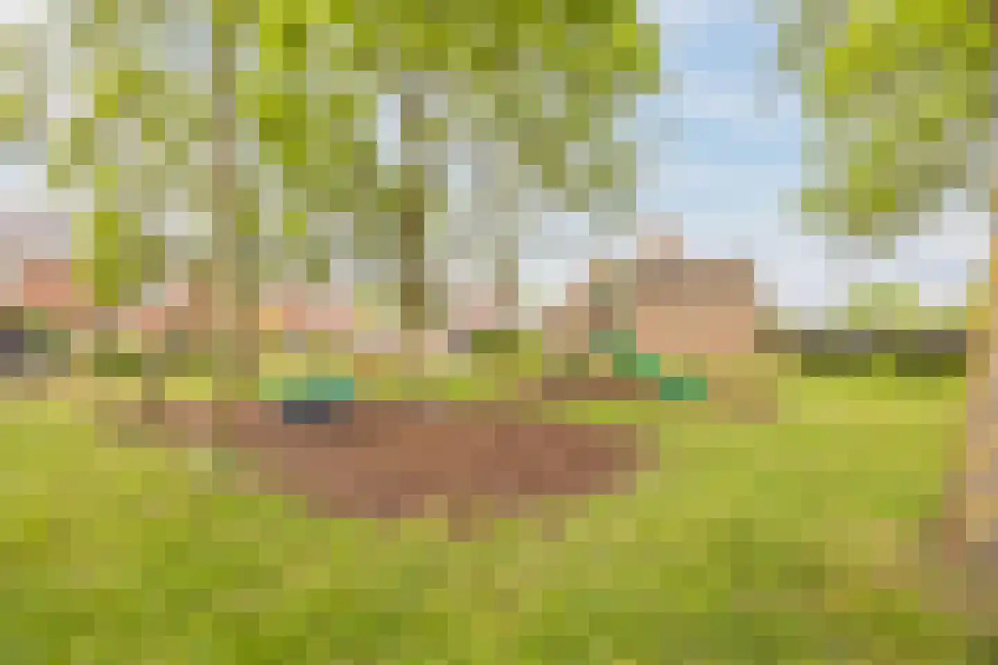 Stellekreek 10 Stampersgat thumbnail 44