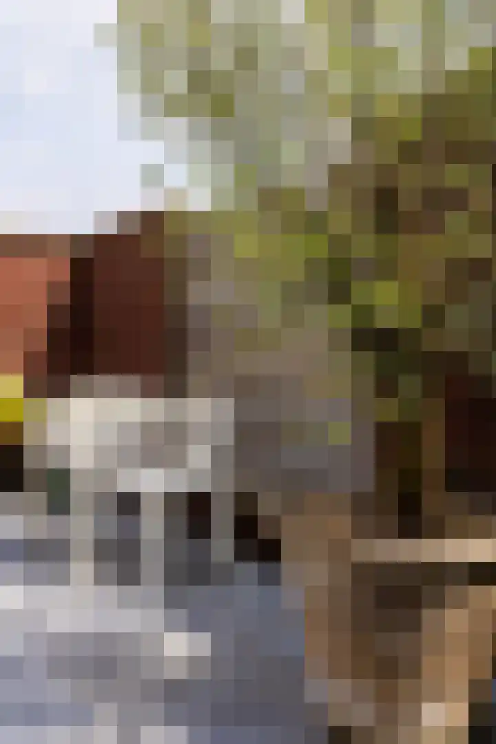 Stellenboschlaan 53 Tilburg thumbnail 42