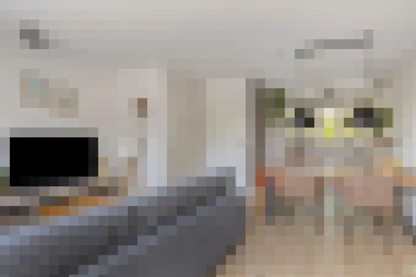 Stellendamerf 11 Tilburg thumbnail 10