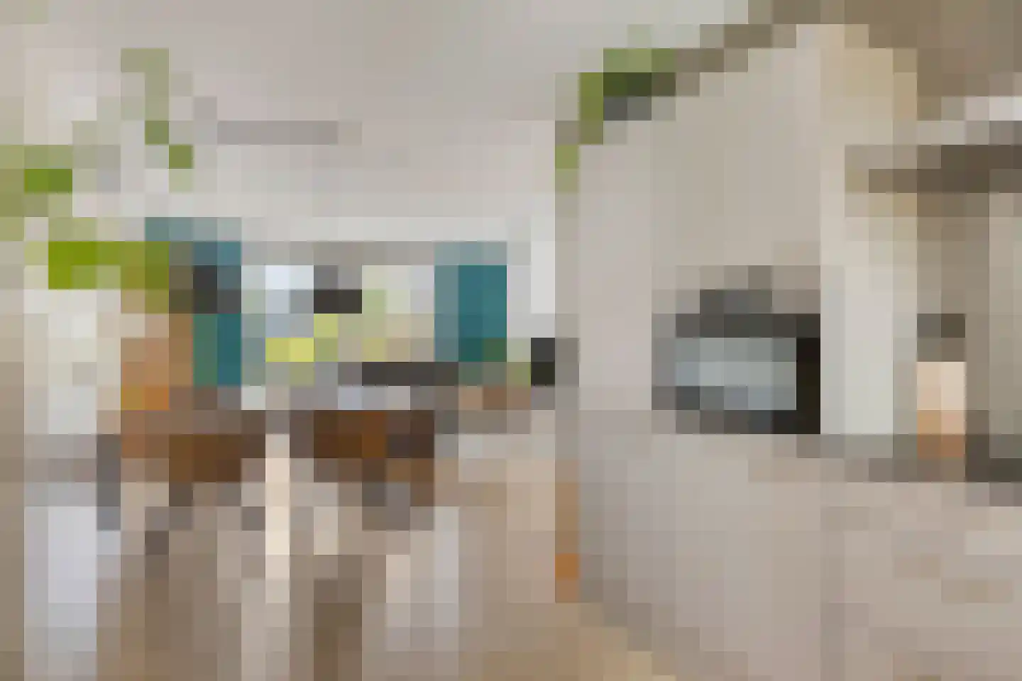 Stellendamerf 11 Tilburg thumbnail 14