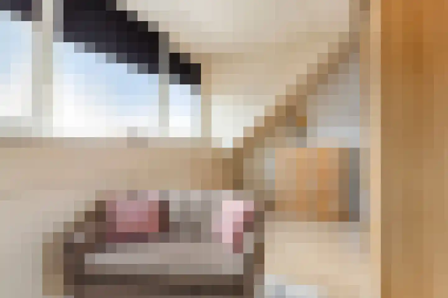 Stellendamerf 11 Tilburg thumbnail 25
