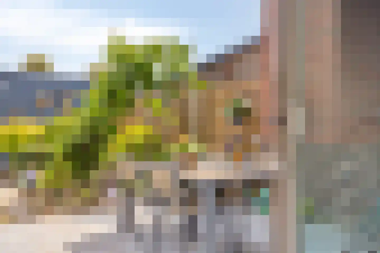 Stellendamerf 11 Tilburg thumbnail 27