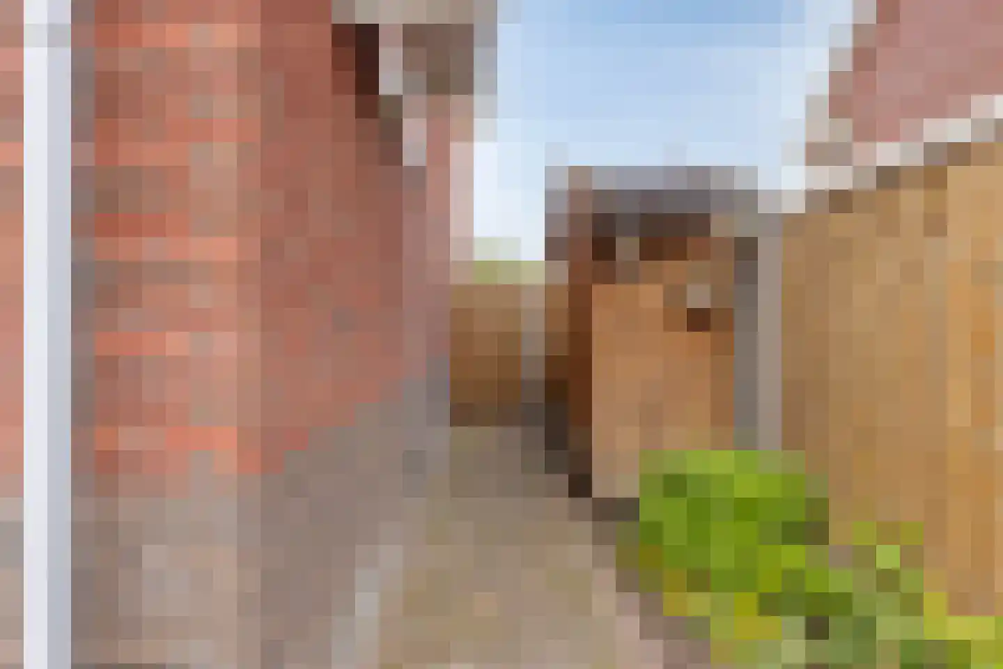 Stellendamerf 11 Tilburg thumbnail 30