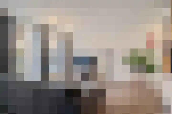 Stellendamstraat 39 Zoetermeer thumbnail 19