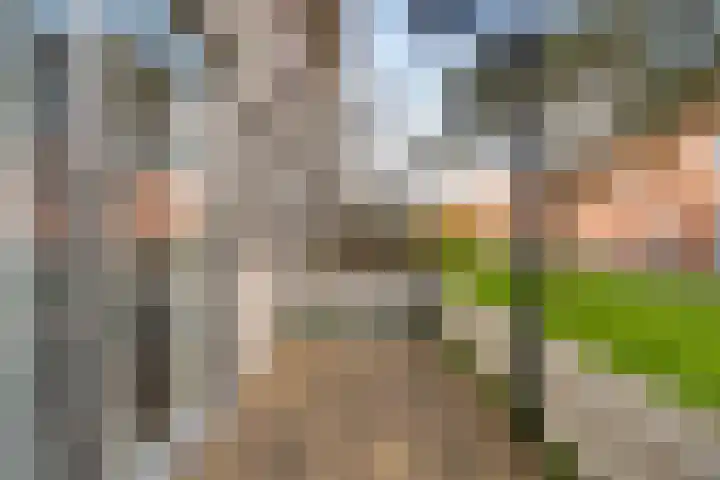 Stellendamstraat 39 Zoetermeer thumbnail 32
