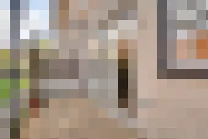 Stellendamstraat 39 Zoetermeer thumbnail 33