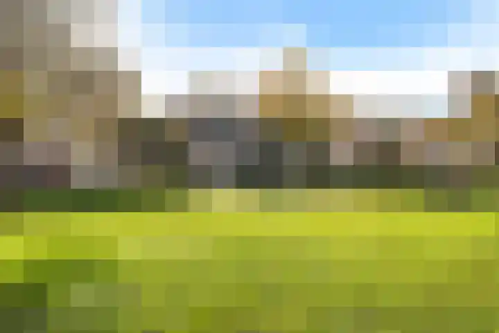 Stellendamstraat 39 Zoetermeer thumbnail 37