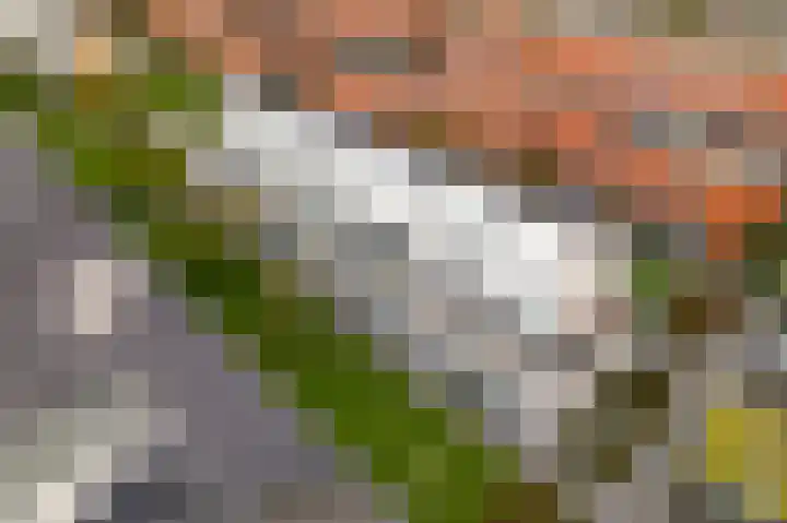 Stellendamstraat 39 Zoetermeer thumbnail 7